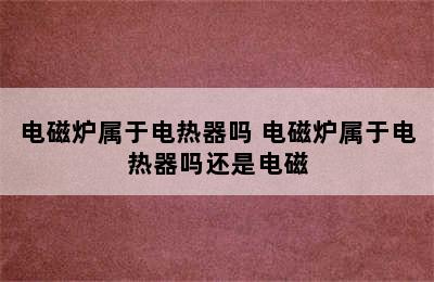 电磁炉属于电热器吗 电磁炉属于电热器吗还是电磁